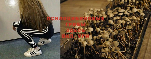 спиды Пестово