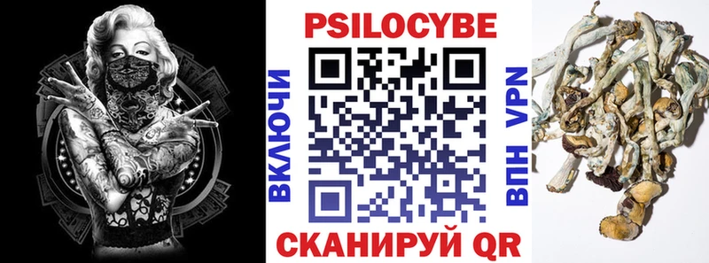 Галлюциногенные грибы мицелий Апатиты