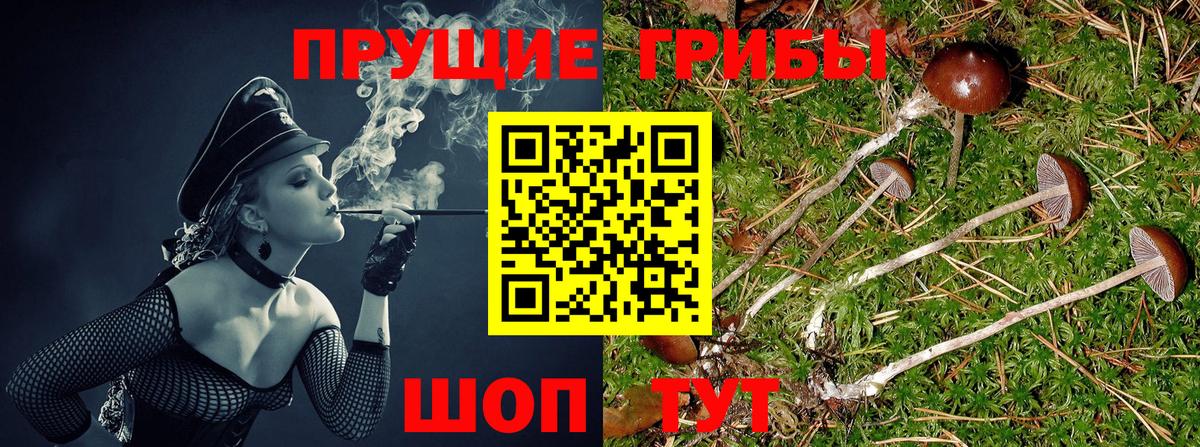 Апатиты  Галлюциногенные грибы Psilocybe  Вход с VPN  Псилоцибиновые грибы MAGIC MUSHROOMS 