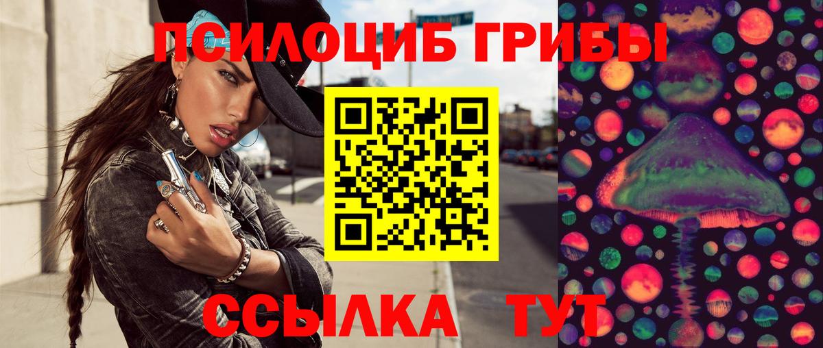 Псилоцибиновые грибы Psilocybe Апатиты