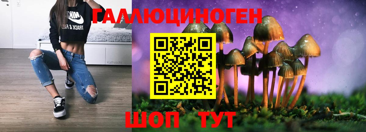 Галлюциногенные грибы Psilocybe Апатиты